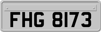 FHG8173