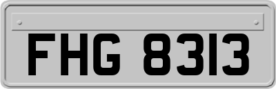 FHG8313