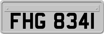 FHG8341