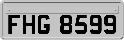 FHG8599