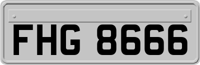 FHG8666