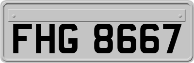 FHG8667