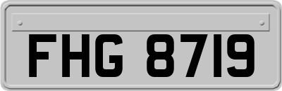 FHG8719