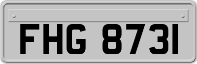 FHG8731