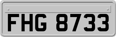FHG8733