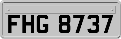 FHG8737
