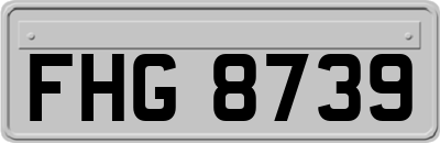 FHG8739