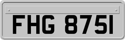 FHG8751