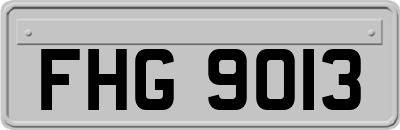 FHG9013