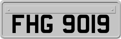 FHG9019