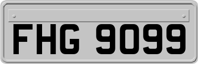 FHG9099