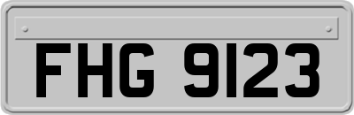 FHG9123