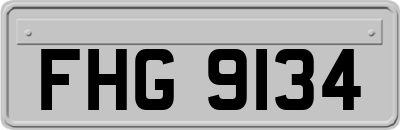 FHG9134