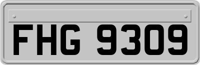 FHG9309