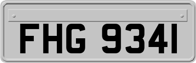 FHG9341