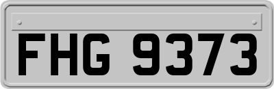 FHG9373
