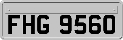 FHG9560