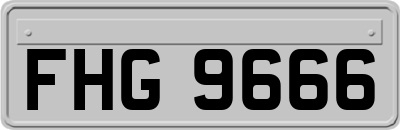 FHG9666
