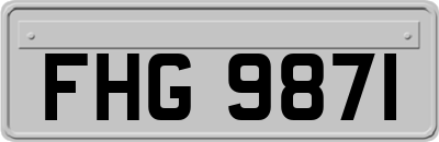 FHG9871