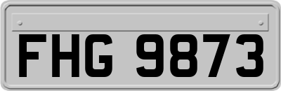 FHG9873