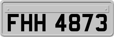 FHH4873