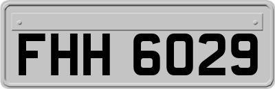 FHH6029