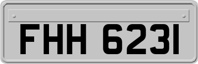 FHH6231