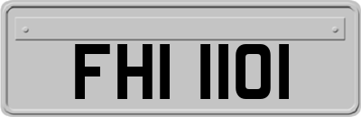 FHI1101