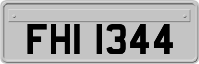 FHI1344