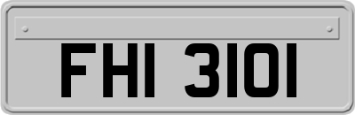 FHI3101