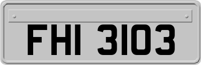 FHI3103
