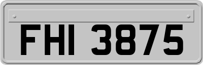 FHI3875