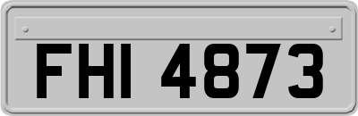 FHI4873