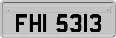 FHI5313
