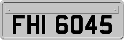 FHI6045