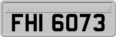 FHI6073