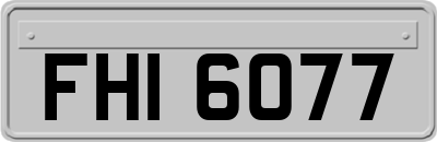 FHI6077