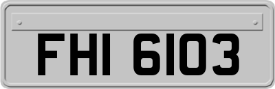 FHI6103