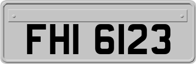 FHI6123