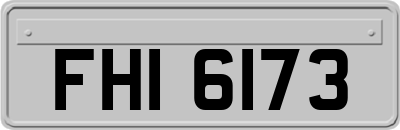 FHI6173