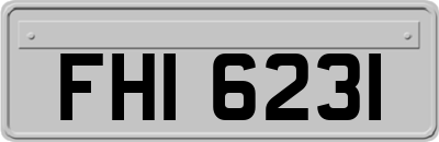 FHI6231