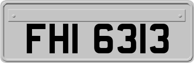 FHI6313