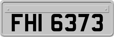 FHI6373