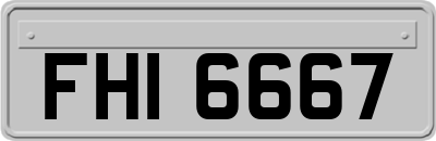 FHI6667