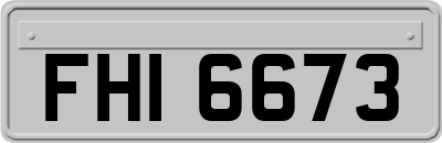 FHI6673