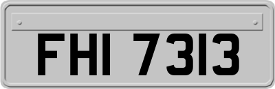 FHI7313