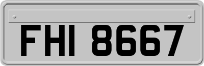 FHI8667