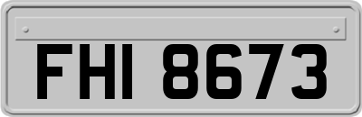 FHI8673