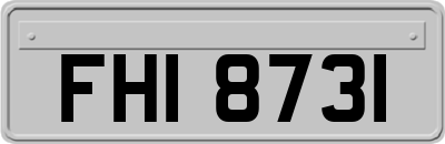 FHI8731