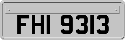 FHI9313